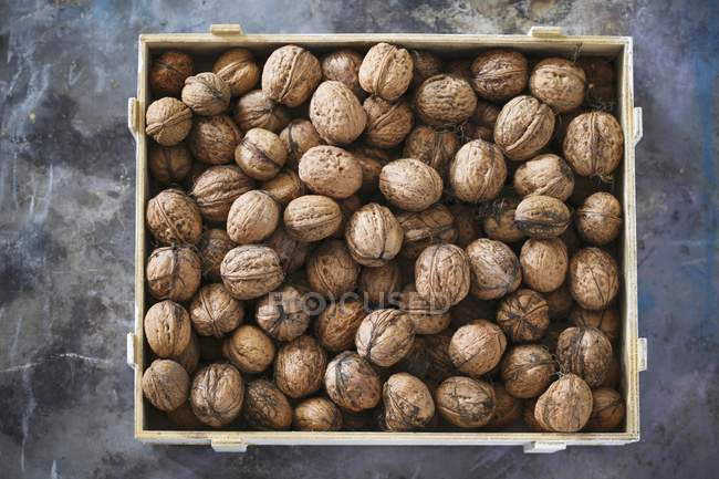 Nueces italianas en una caja - foto de stock