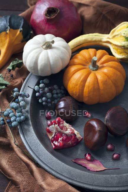 Autumnal arrangement of pumpkins — Stock Photo