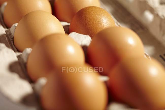Uova fresche della contea di Lancaster — Foto stock