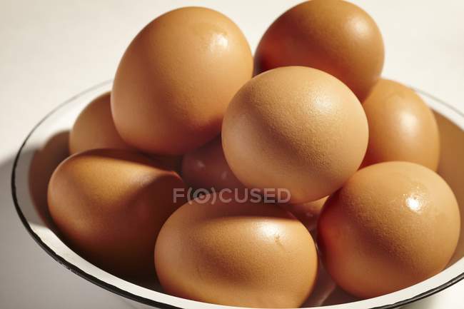 Huevos frescos del condado de Lancaster - foto de stock