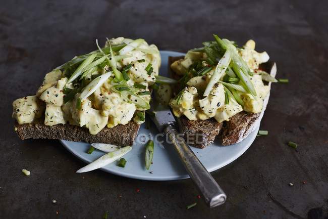 Яичный салат с луком — стоковое фото