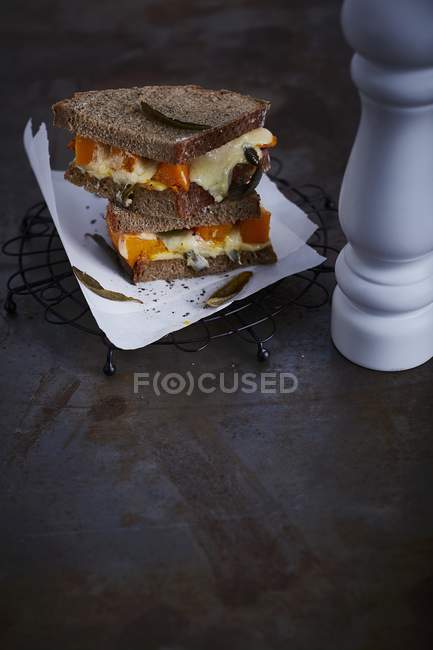 Grilled rye bread toast — Stock Photo