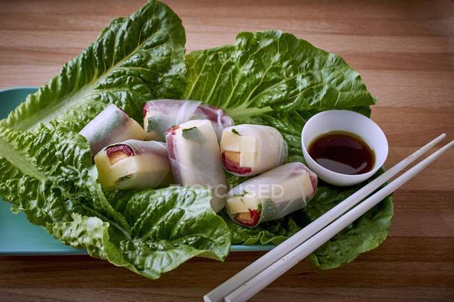 Asian rice paper rolls with duck — Stock Photo