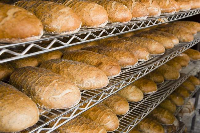 Mains de pain blanc — Photo de stock