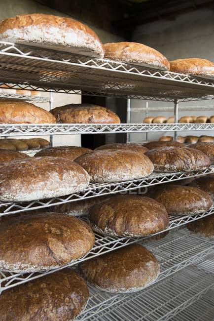Разнообразные хлебные хлебы — стоковое фото