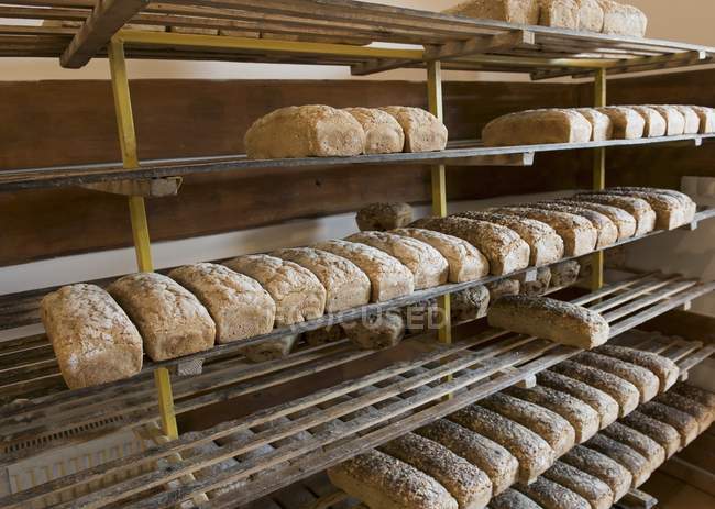 Pães sortidos esfriando em prateleiras de madeira — Fotografia de Stock