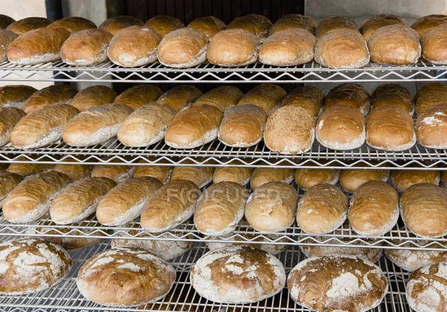 Loaves of white bread — Stock Photo