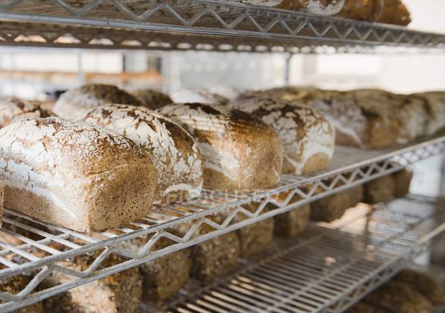 Freshly baked loaves on metal shelves — Stock Photo