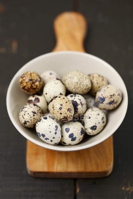 Перепелиные яйца в миске — стоковое фото