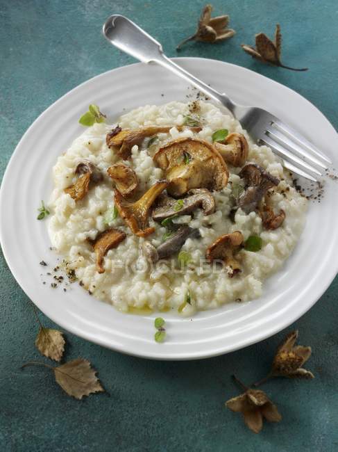 Closeup elevated view of Risotto with mushrooms — Stock Photo