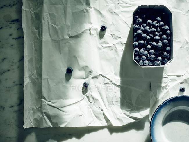 Blueberries in cardboard punnet — Stock Photo
