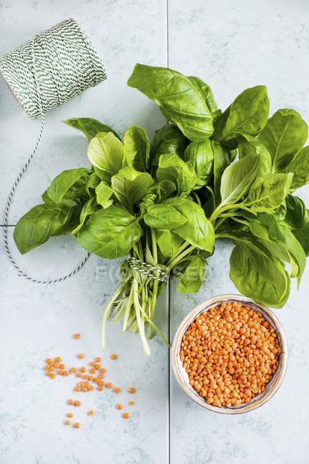 Red lentils and basil — Stock Photo