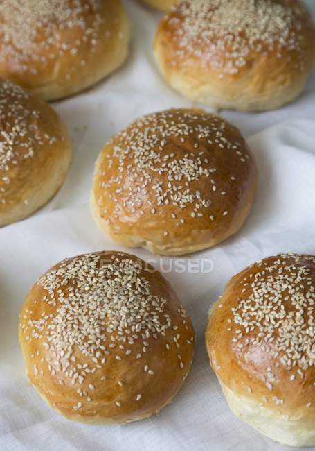Freshly baked sesame buns — Stock Photo
