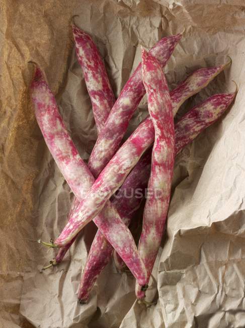 Haricots borlotti frais cueillis — Photo de stock