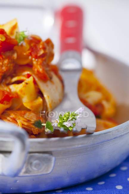 Pappardelle pasta with tomato and tuna sauce — Stock Photo