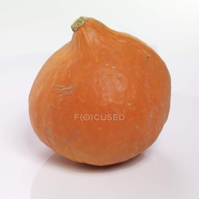 Whole Hokkaido pumpkin — Stock Photo
