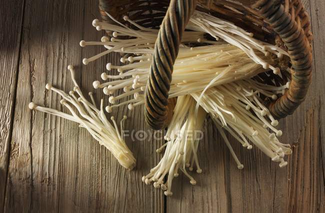 Enokitake appena colto — Foto stock