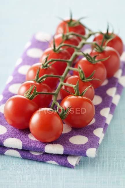 Bando de tomates cereja — Fotografia de Stock