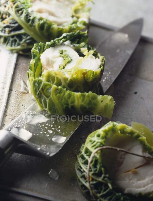 Cabbage and monkfish rolls — Stock Photo