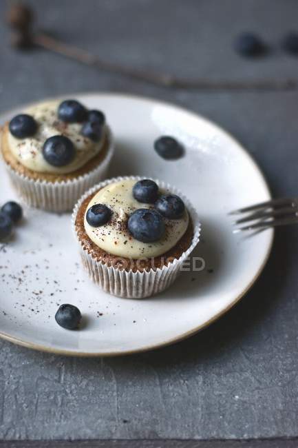 Cupcakes with blueberries and chocolate frosting — Stock Photo