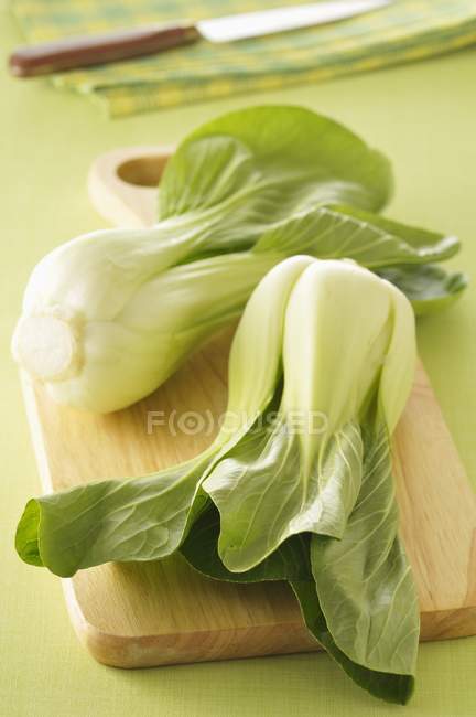 Fresh Pak-choi cabbage — Stock Photo
