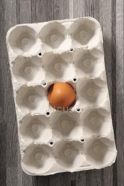 Свежее коричневое яйцо в коробке — стоковое фото