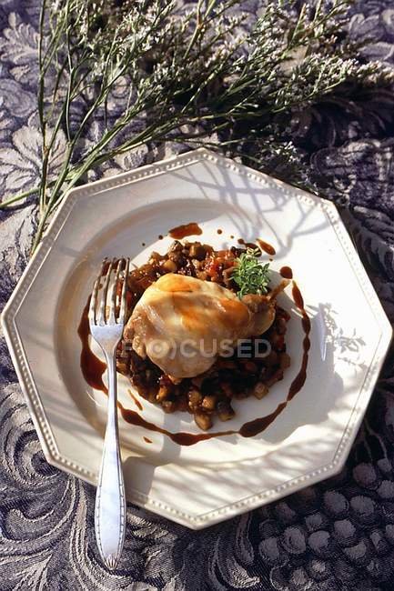 Rabbit confit with thyme — Stock Photo
