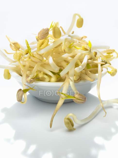 Soya beansprouts in bowl — Stock Photo
