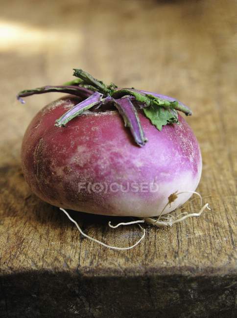 Fresh purple Turnip — Stock Photo