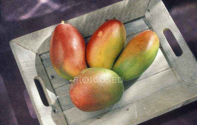 Mangos auf Holztablett — Stockfoto
