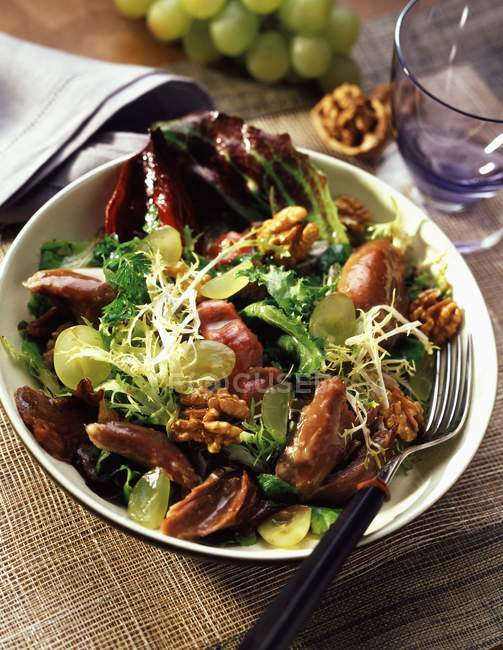 Duck and walnut salad in bowl — Stock Photo