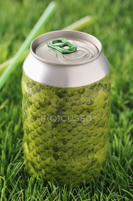 Closeup view of green closed pull top can in grass — Stock Photo