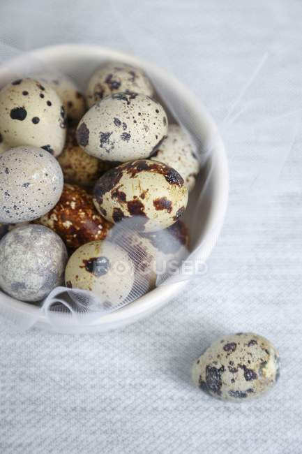 Quail eggs in bowl — Stock Photo