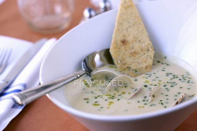 Closeup view of clam Chowder with toast and herb — Stock Photo