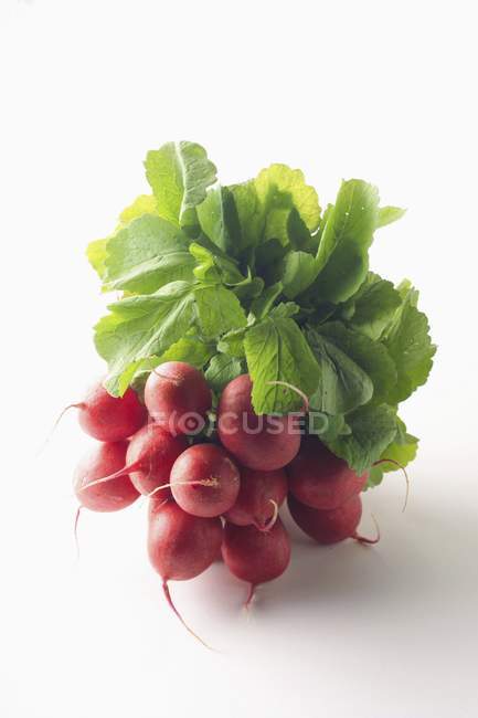 Bunch of fresh radishes with leaves — Stock Photo