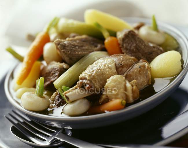 Duck and vegetable stew — Stock Photo