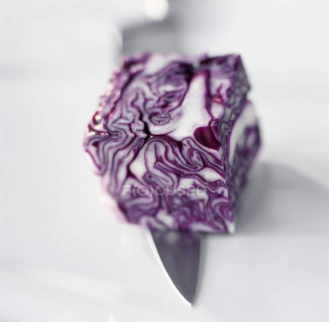 Cube of purple cabbage on knife — Stock Photo