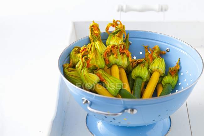 Calabacines verdes y amarillos con flores - foto de stock