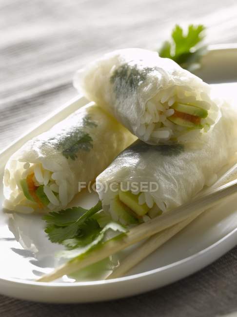 Spring rolls with salmon and rice — Stock Photo