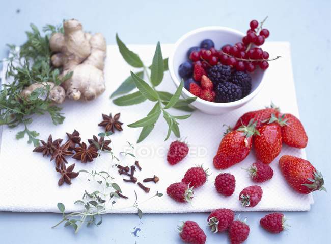 Крупный план различных ягод со специями и травами — стоковое фото