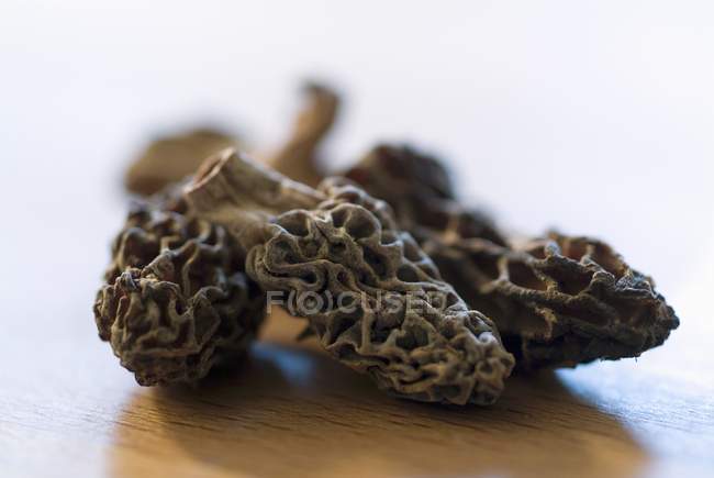 Cogumelos morel secos — Fotografia de Stock