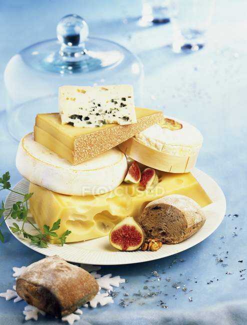 Different types of cheeses — Stock Photo