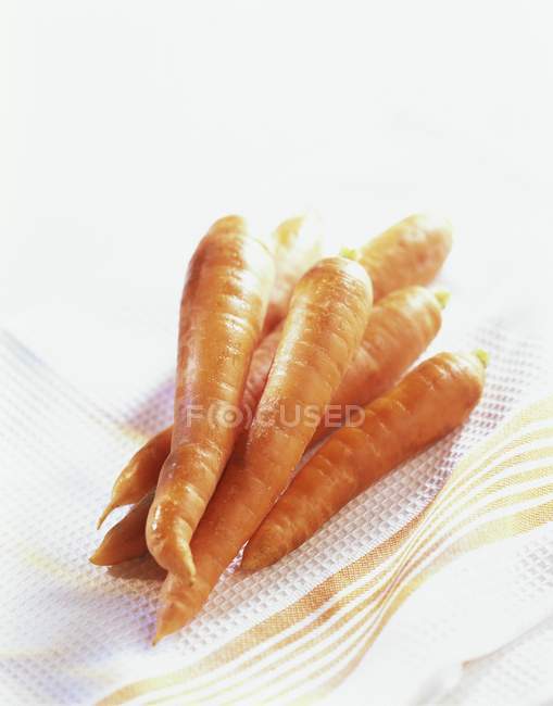 Сырая свежая морковь — стоковое фото