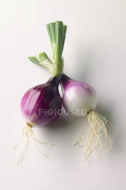 Red raw onions — Stock Photo
