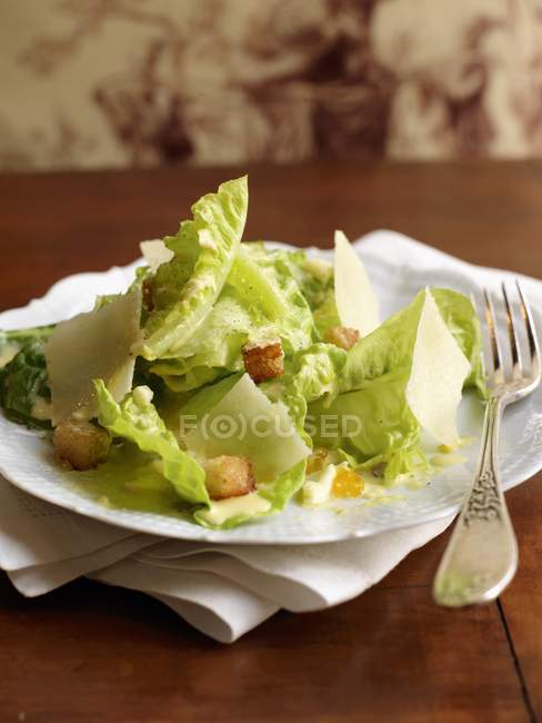Floco de parmesão e salada — Fotografia de Stock