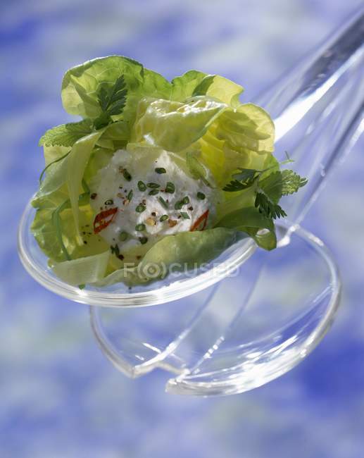 Lettuce with goat's cheese — Stock Photo
