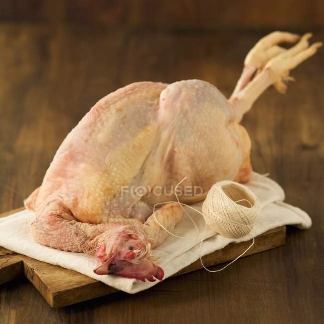 Raw chicken with twine — Stock Photo