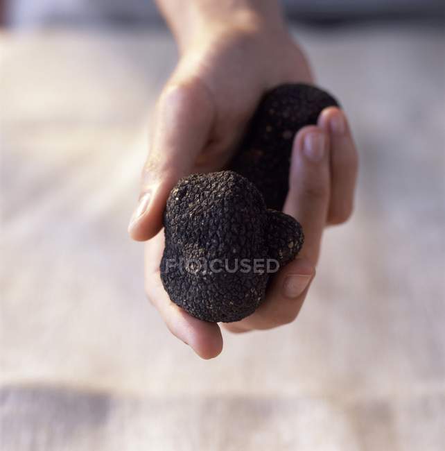 Main humaine tenant des truffes — Photo de stock