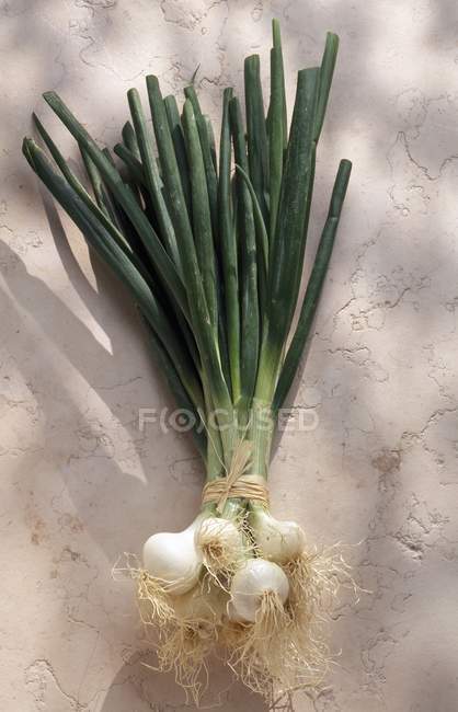 Raw green onions — Stock Photo