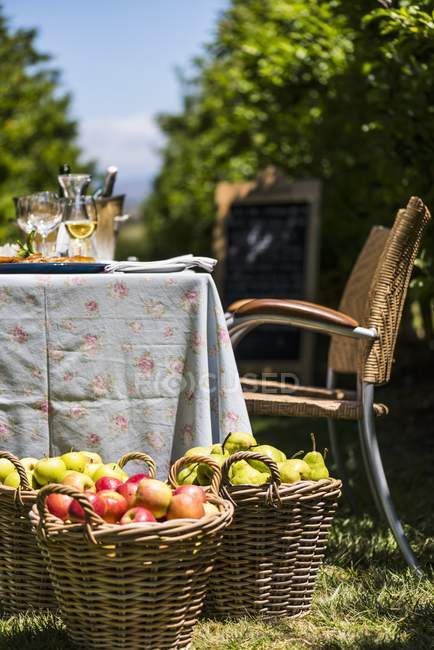 Vista diurna del tavolo nel frutteto e cesti di frutta — Foto stock
